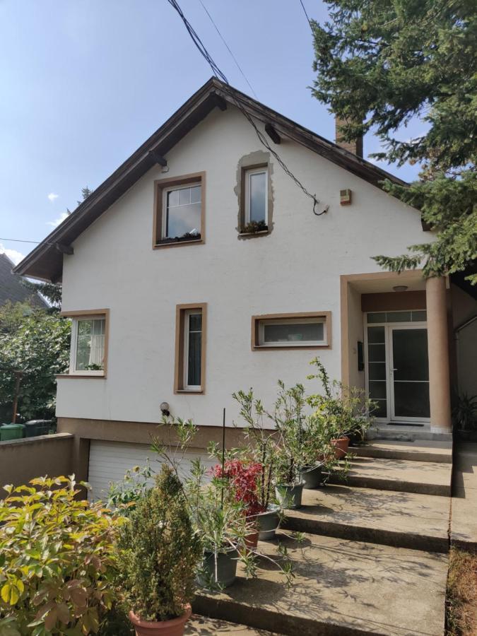 Dali Apartment Szentendre Εξωτερικό φωτογραφία
